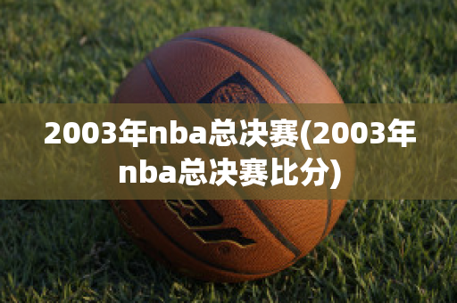 2003年nba总决赛(2003年nba总决赛比分)