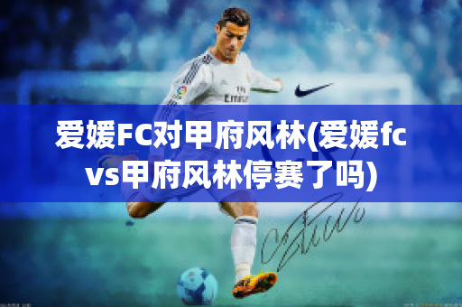 爱媛FC对甲府风林(爱媛fcvs甲府风林停赛了吗)