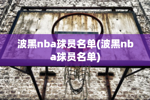 波黑nba球员名单(波黑nba球员名单)