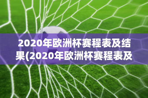 2020年欧洲杯赛程表及结果(2020年欧洲杯赛程表及结果查询)