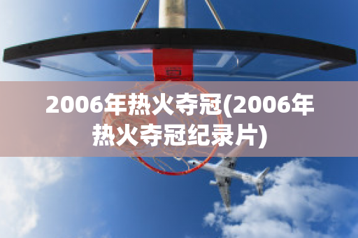 2006年热火夺冠(2006年热火夺冠纪录片)