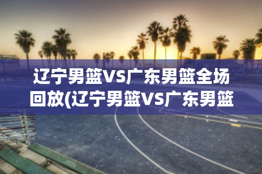 辽宁男篮VS广东男篮全场回放(辽宁男篮VS广东男篮全场回放2024.05.01)