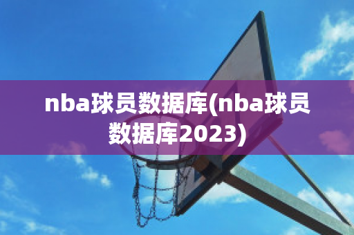 nba球员数据库(nba球员数据库2023)