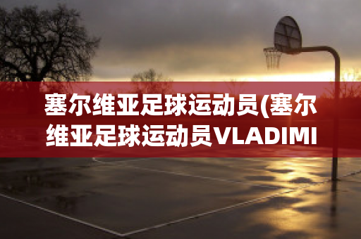 塞尔维亚足球运动员(塞尔维亚足球运动员VLADIMIR)