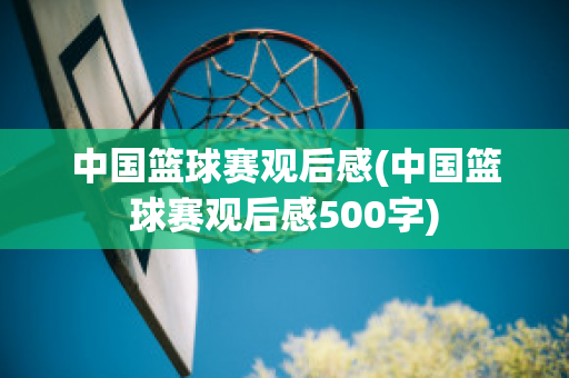 中国篮球赛观后感(中国篮球赛观后感500字)