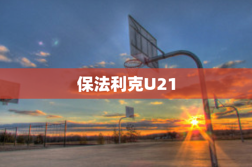 保法利克U21