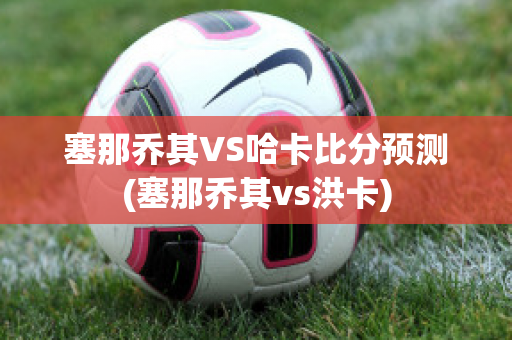 塞那乔其VS哈卡比分预测(塞那乔其vs洪卡)