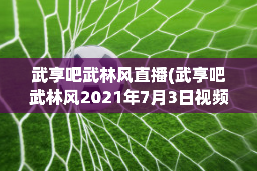 武享吧武林风直播(武享吧武林风2021年7月3日视频)