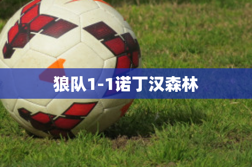 狼队1-1诺丁汉森林