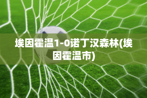 埃因霍温1-0诺丁汉森林(埃因霍温市)