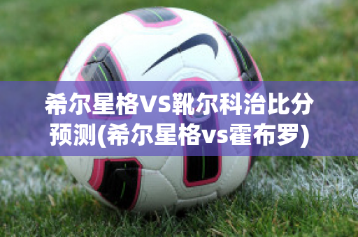 希尔星格VS靴尔科治比分预测(希尔星格vs霍布罗)