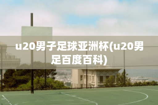 u20男子足球亚洲杯(u20男足百度百科)