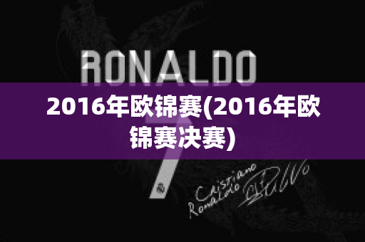 2016年欧锦赛(2016年欧锦赛决赛)