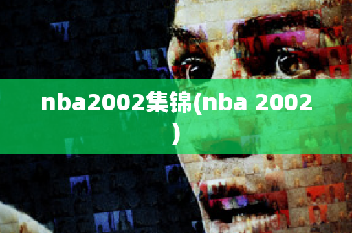 nba2002集锦(nba 2002)