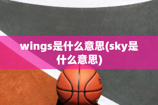 wings是什么意思(sky是什么意思)