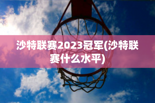 沙特联赛2023冠军(沙特联赛什么水平)