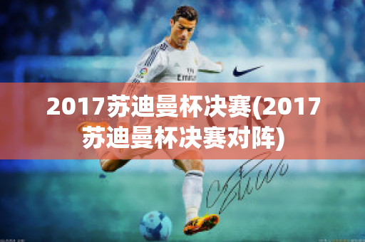 2017苏迪曼杯决赛(2017苏迪曼杯决赛对阵)