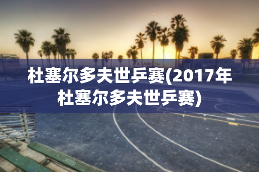 杜塞尔多夫世乒赛(2017年杜塞尔多夫世乒赛)