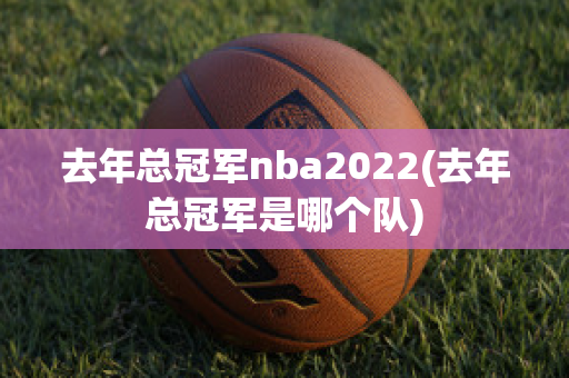 去年总冠军nba2022(去年总冠军是哪个队)