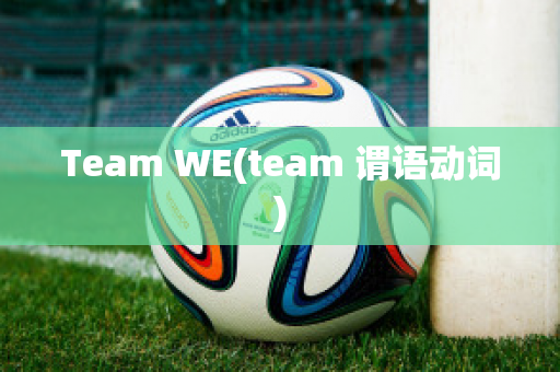 Team WE(team 谓语动词)