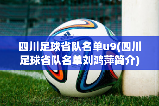 四川足球省队名单u9(四川足球省队名单刘鸿萍简介)