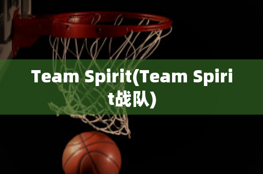 Team Spirit(Team Spirit战队)