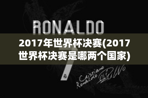 2017年世界杯决赛(2017世界杯决赛是哪两个国家)