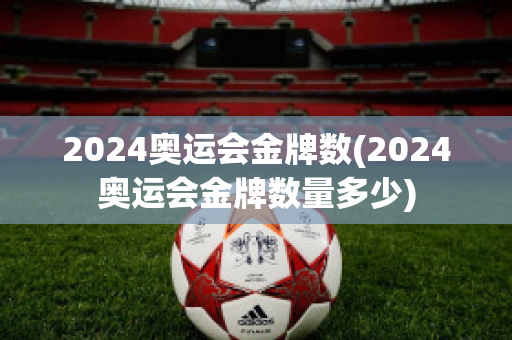 2024奥运会金牌数(2024奥运会金牌数量多少)