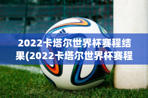 2022卡塔尔世界杯赛程结果(2022卡塔尔世界杯赛程结果表)