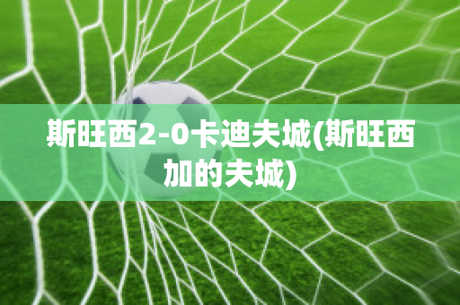 斯旺西2-0卡迪夫城(斯旺西加的夫城)