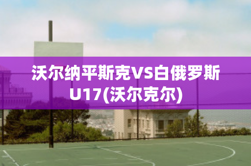 沃尔纳平斯克VS白俄罗斯U17(沃尔克尔)