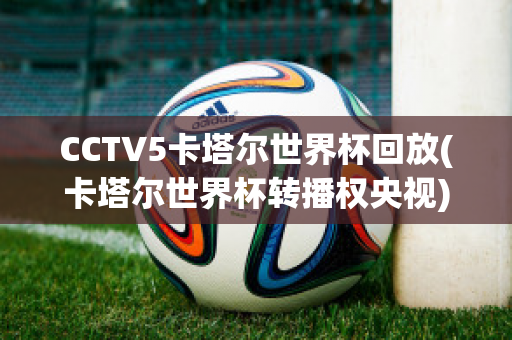 CCTV5卡塔尔世界杯回放(卡塔尔世界杯转播权央视)