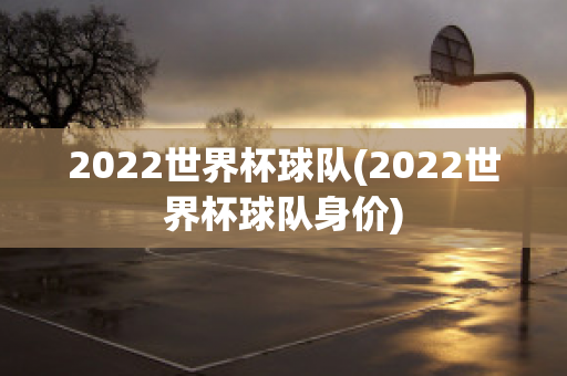 2022世界杯球队(2022世界杯球队身价)