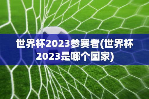 世界杯2023参赛者(世界杯2023是哪个国家)