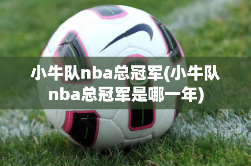 小牛队nba总冠军(小牛队nba总冠军是哪一年)