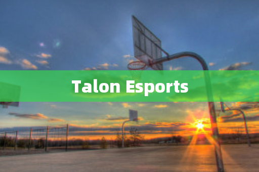 Talon Esports