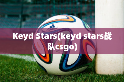 Keyd Stars(keyd stars战队csgo)