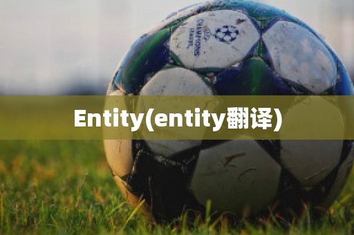 Entity(entity翻译)