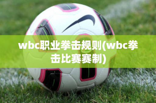 wbc职业拳击规则(wbc拳击比赛赛制)