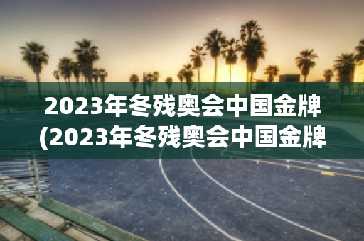 2023年冬残奥会中国金牌(2023年冬残奥会中国金牌有多少枚)