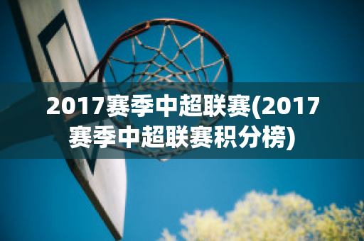 2017赛季中超联赛(2017赛季中超联赛积分榜)