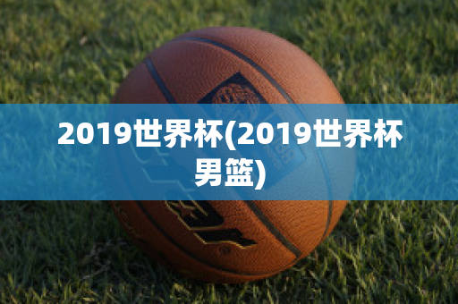 2019世界杯(2019世界杯男篮)