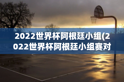 2022世界杯阿根廷小组(2022世界杯阿根廷小组赛对手)