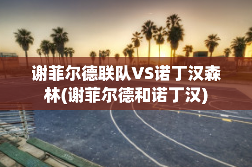 谢菲尔德联队VS诺丁汉森林(谢菲尔德和诺丁汉)