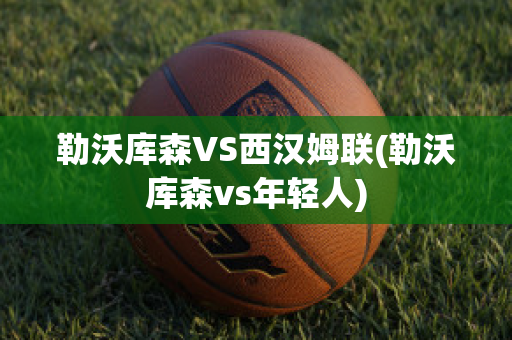 勒沃库森VS西汉姆联(勒沃库森vs年轻人)