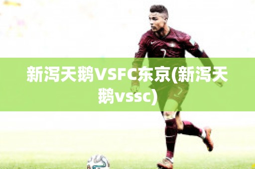 新泻天鹅VSFC东京(新泻天鹅vssc)