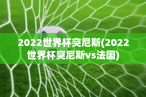 2022世界杯突尼斯(2022世界杯突尼斯vs法国)