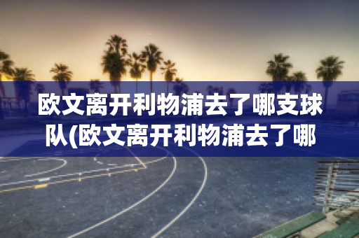 欧文离开利物浦去了哪支球队(欧文离开利物浦去了哪支球队打球)