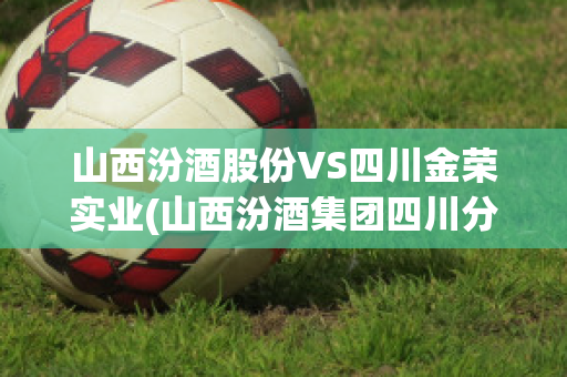 山西汾酒股份VS四川金荣实业(山西汾酒集团四川分公司)