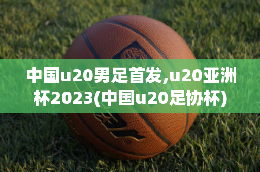 中国u20男足首发,u20亚洲杯2023(中国u20足协杯)